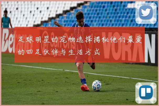 足球明星的宠物选择揭秘他们最爱的四足伙伴与生活方式