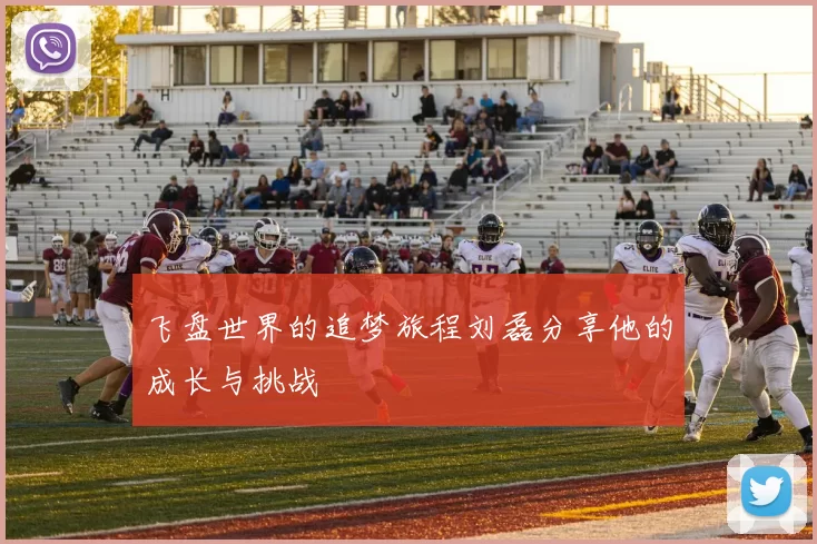 飞盘世界的追梦旅程刘磊分享他的成长与挑战
