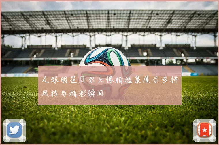 足球明星贝尔头像精选集展示多样风格与精彩瞬间