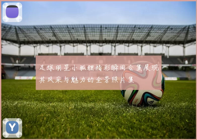 足球明星小狐狸精彩瞬间合集展现其风采与魅力的全景照片集