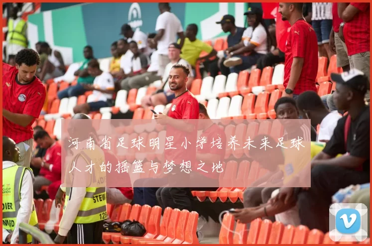 河南省足球明星小学培养未来足球人才的摇篮与梦想之地