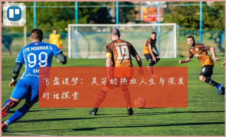 飞盘追梦：吴芳的热血人生与深度对话探索
