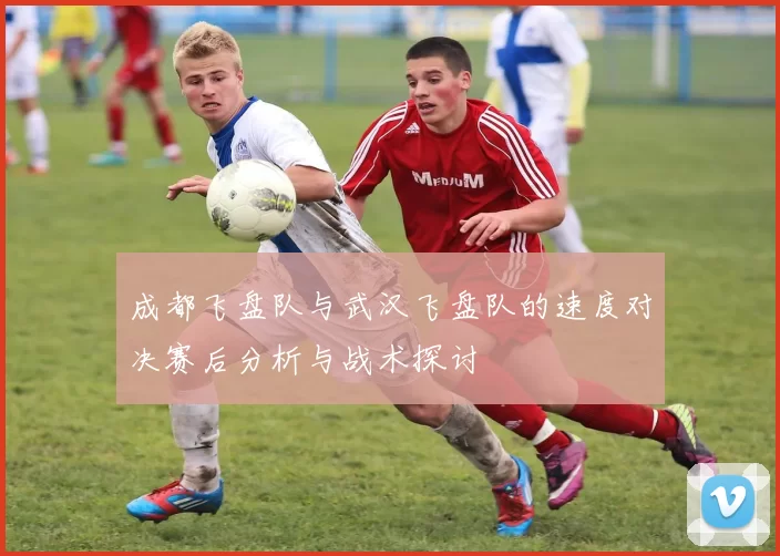 成都飞盘队与武汉飞盘队的速度对决赛后分析与战术探讨