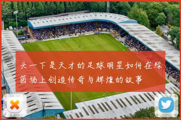 头一下是天才的足球明星如何在绿茵场上创造传奇与辉煌的故事