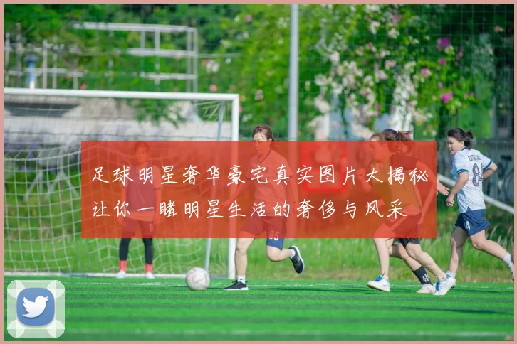 足球明星奢华豪宅真实图片大揭秘让你一睹明星生活的奢侈与风采