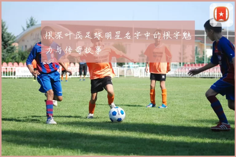 根深叶茂足球明星名字中的根字魅力与传奇故事