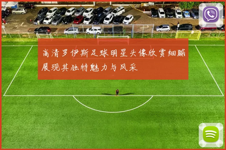 高清罗伊斯足球明星头像欣赏细腻展现其独特魅力与风采