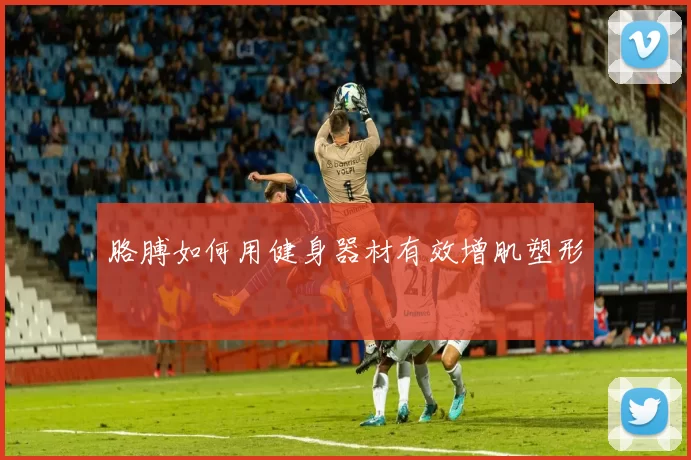 胳膊如何用健身器材有效增肌塑形
