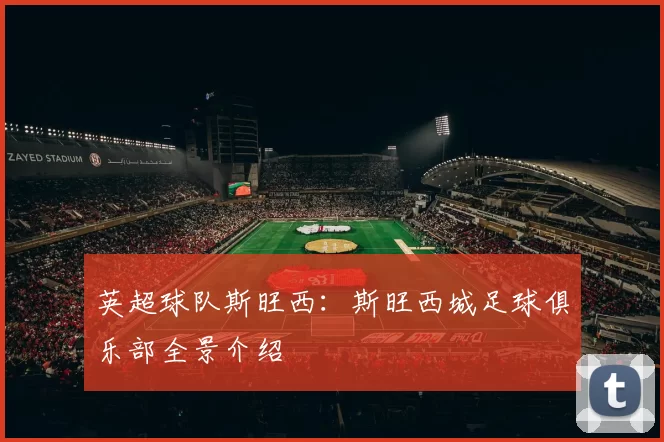 英超球队斯旺西：斯旺西城足球俱乐部全景介绍