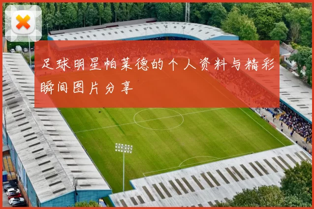 足球明星帕莱德的个人资料与精彩瞬间图片分享