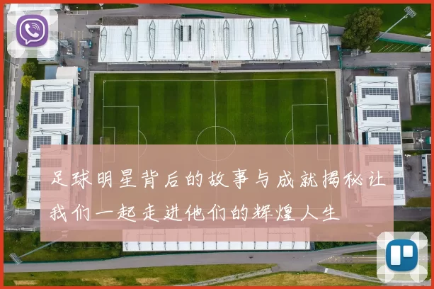 足球明星背后的故事与成就揭秘让我们一起走进他们的辉煌人生