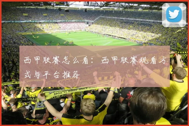 西甲联赛怎么看：西甲联赛观看方式与平台推荐