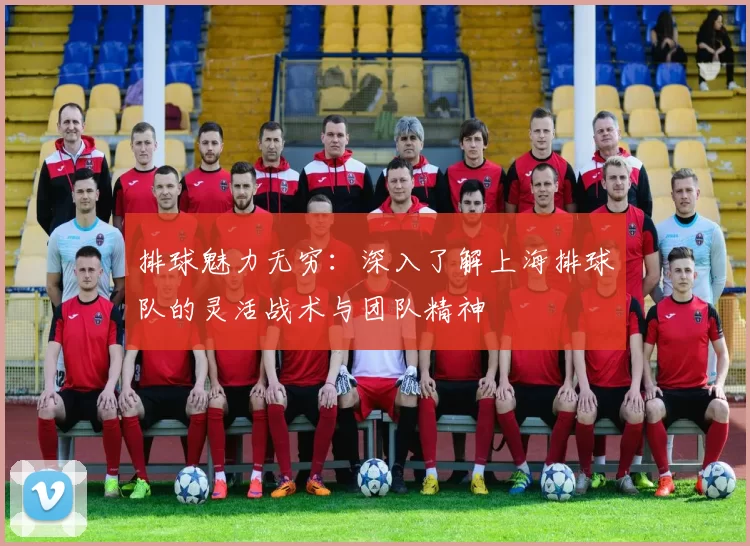 排球魅力无穷：深入了解上海排球队的灵活战术与团队精神