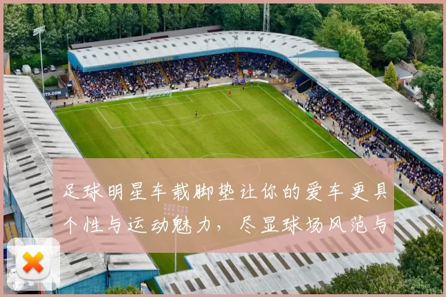 足球明星车载脚垫让你的爱车更具个性与运动魅力，尽显球场风范与时尚气息
