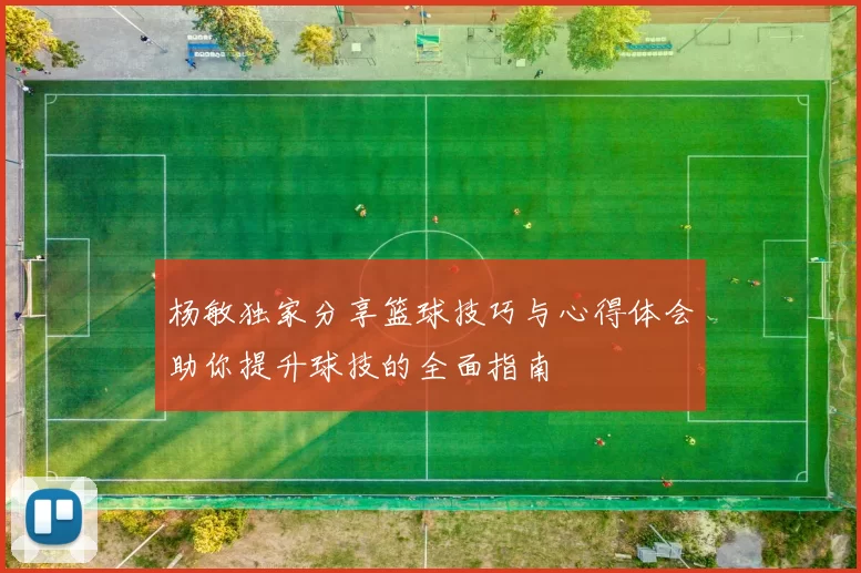 杨敏独家分享篮球技巧与心得体会助你提升球技的全面指南