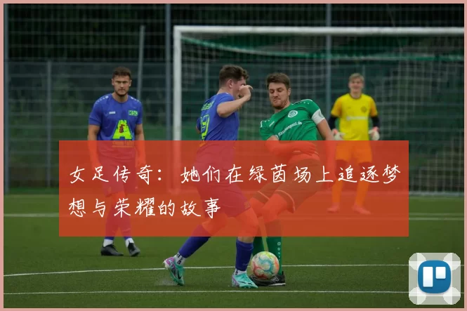 女足传奇：她们在绿茵场上追逐梦想与荣耀的故事