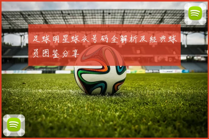 足球明星球衣号码全解析及经典球员图鉴分享